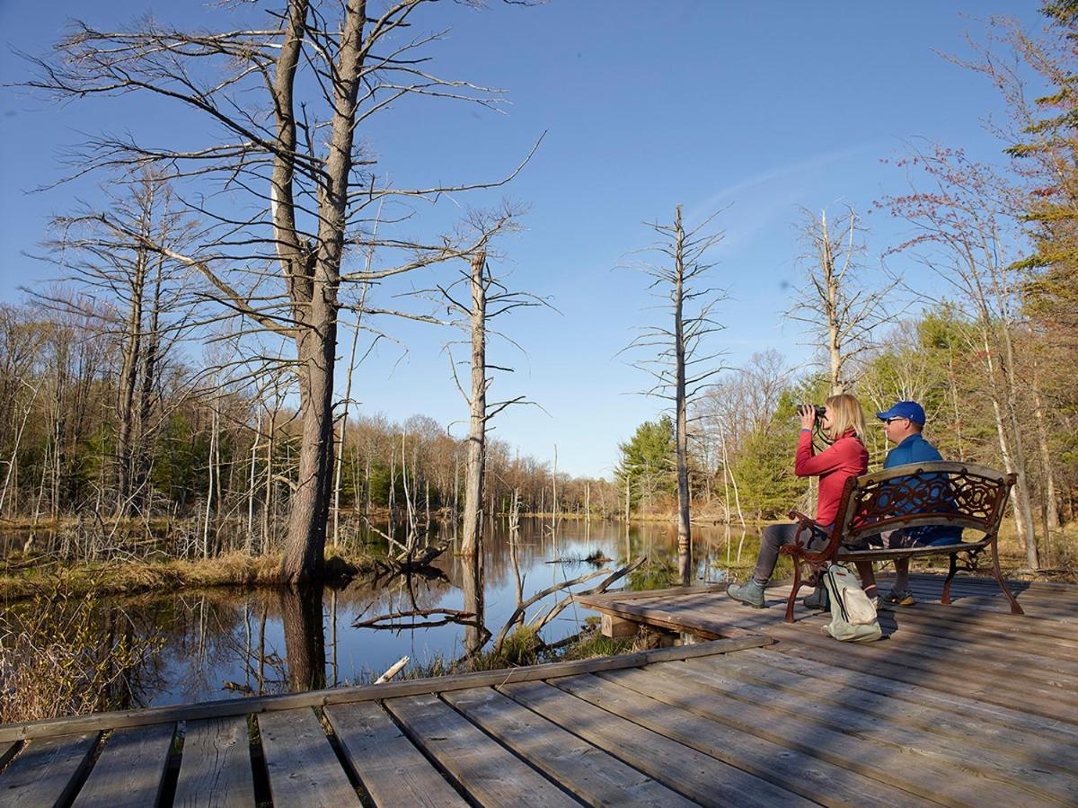 Taboo Muskoka Hotell Gravenhurst Exteriör bild